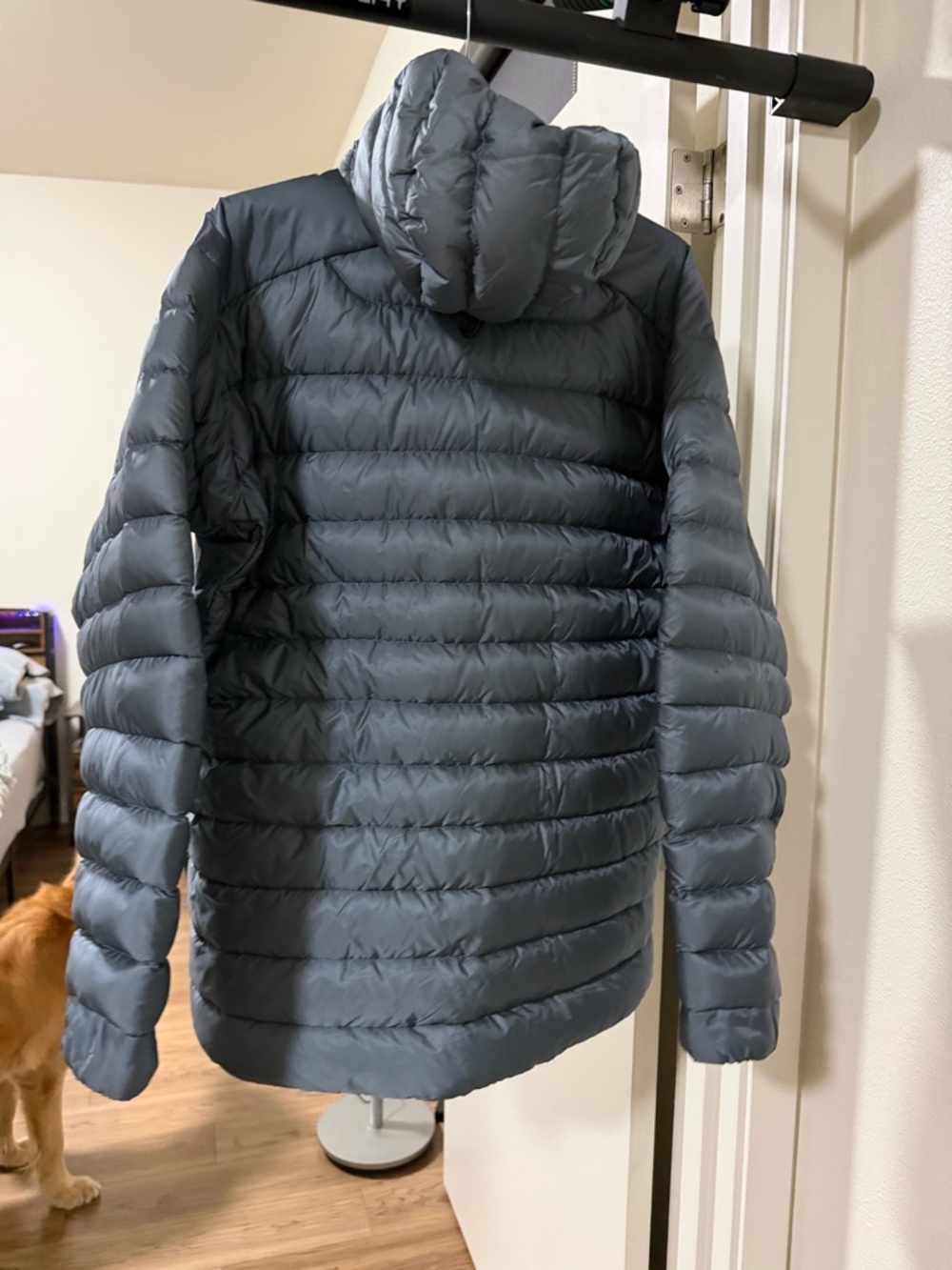 Arc'teryx Men’s Cerium LT Hoody  - Gray - Picture 3 of 5